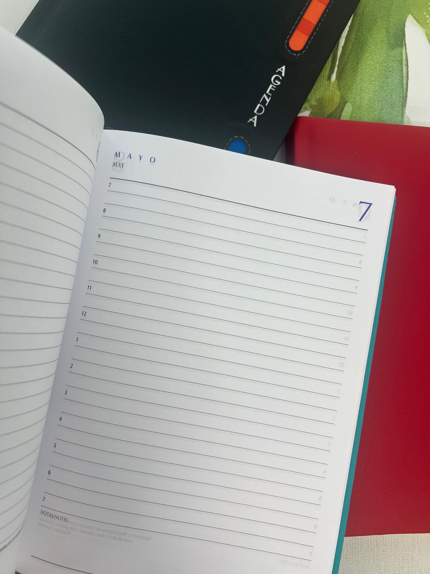 Agenda 2024 / Cocidas (Modelo 2).