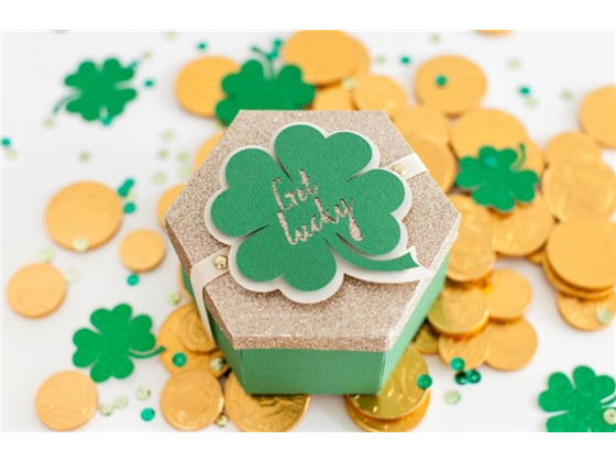 Premium Fine -Point Replacement Blade