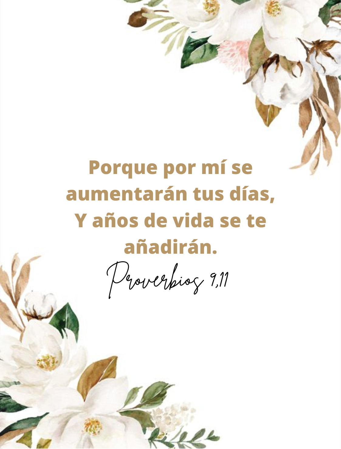 Arte Digital - Flyer, Post o Portadas