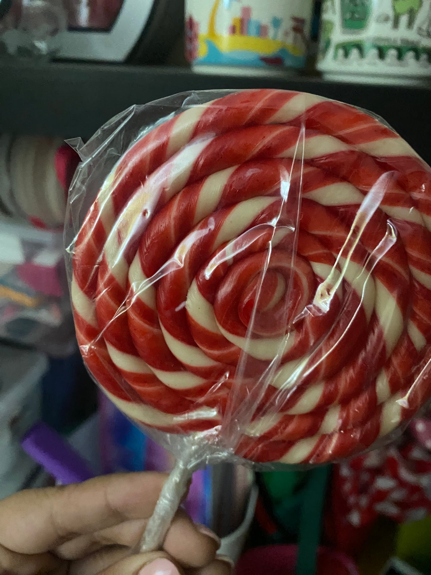 Paletas circulares - AP