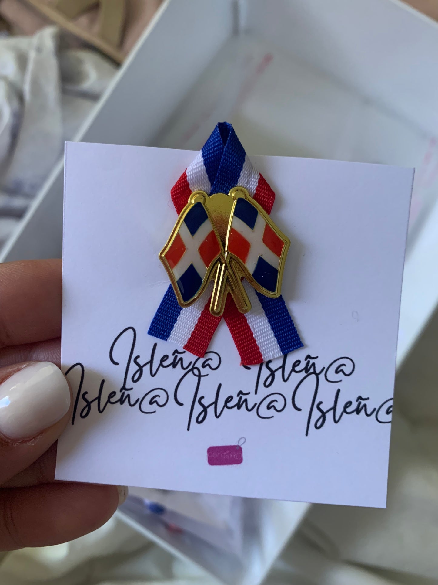 Bandera Pin